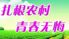 大學(xué)生村官選調(diào)生是公務(wù)員嗎？村官選調(diào)生和選調(diào)生什么區(qū)別？有編制嗎？