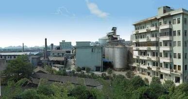 桂林力源集團(tuán)董事長陳身陸還是丁身援？桂林力源糧油食品集團(tuán)領(lǐng)導(dǎo)班子