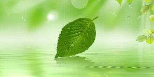 南寧八菱科技怎么樣？待遇怎樣，為什么被譴責(zé)？年產(chǎn)多少錢？