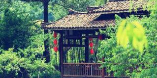 廣西廣投文化旅游公司梅以軍簡(jiǎn)歷，廣西廣投文旅和廣西投資集團(tuán)啥關(guān)系？